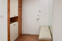 Built-in